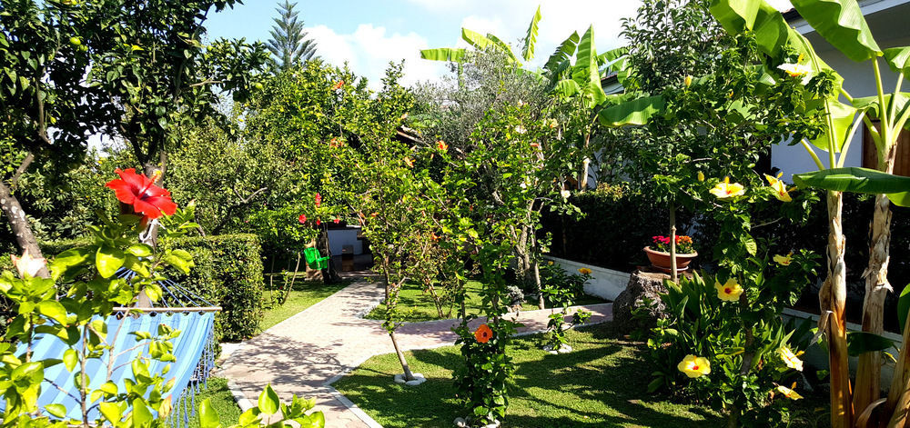 Hibiscusuno Tropea Residence Extérieur photo