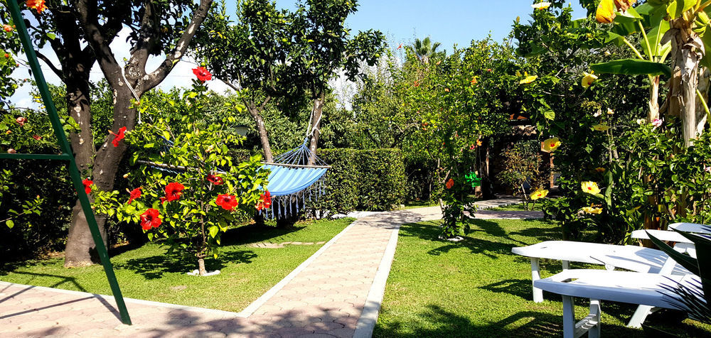 Hibiscusuno Tropea Residence Extérieur photo